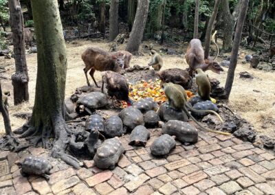 barbados wildlife refuge